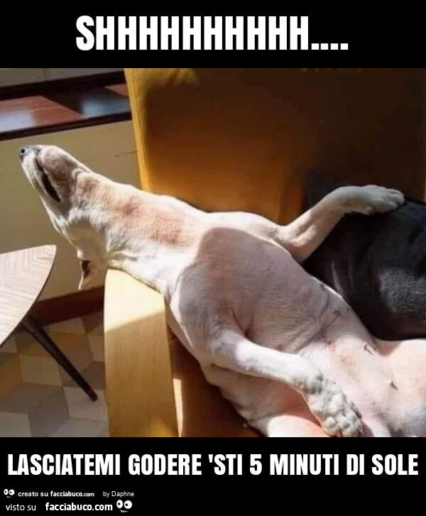 Shhhhhhhhhh… lasciatemi godere 'sti 5 minuti di sole