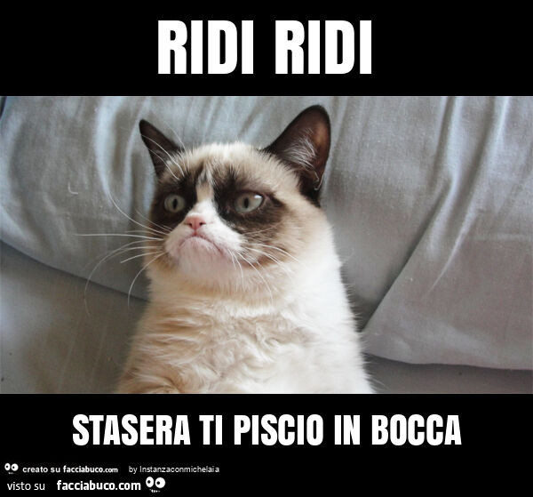 Ridi ridi stasera ti piscio in bocca