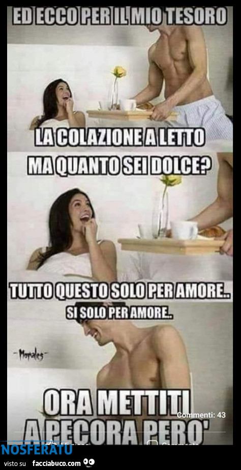Mettiti a pecora