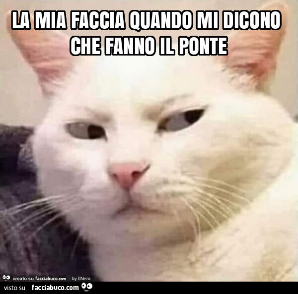 La mia faccia quando mi dicono che fanno il ponte