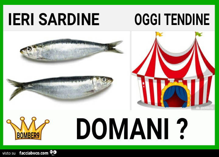 Ieri sardine oggi tendine domani