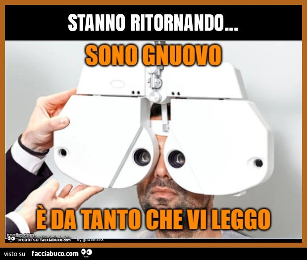 Stanno ritornando