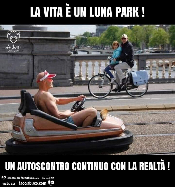 La vita è un luna park! Un autoscontro continuo con la realtà
