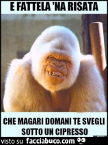 Vaccata
