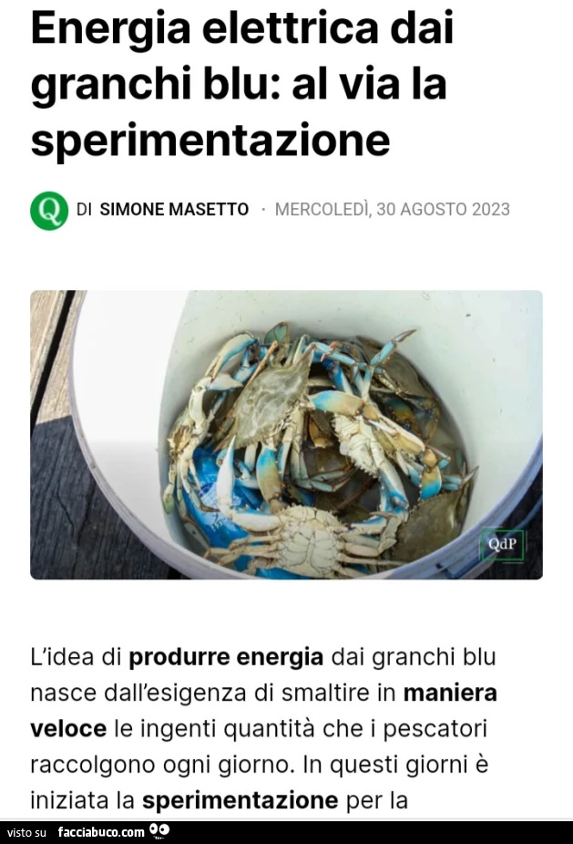 Vaccata