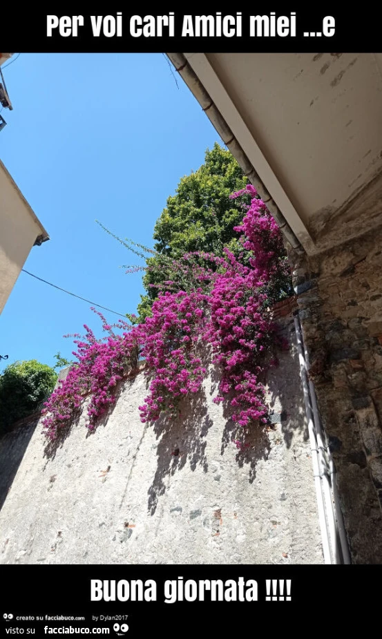 Per voi cari amici miei&hellip; e buona giornata