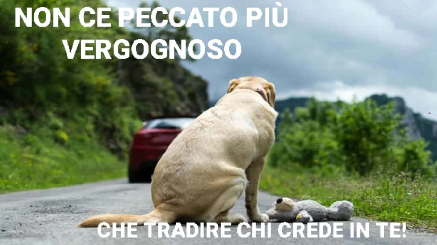 Vergognati