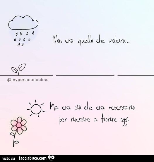 Non era quello che volevo ma era ciò che era necessario per riuscire a fiorire oggi