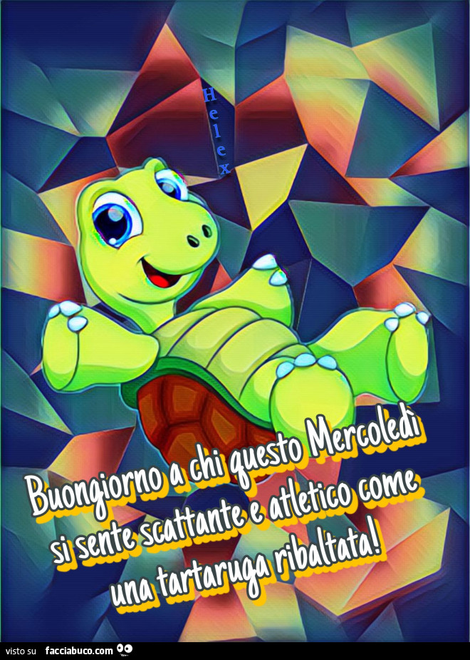 Buongiorno a chi questo Mercoledì