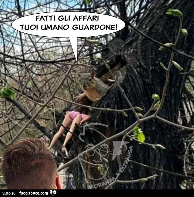 fatti gli affari tuoi