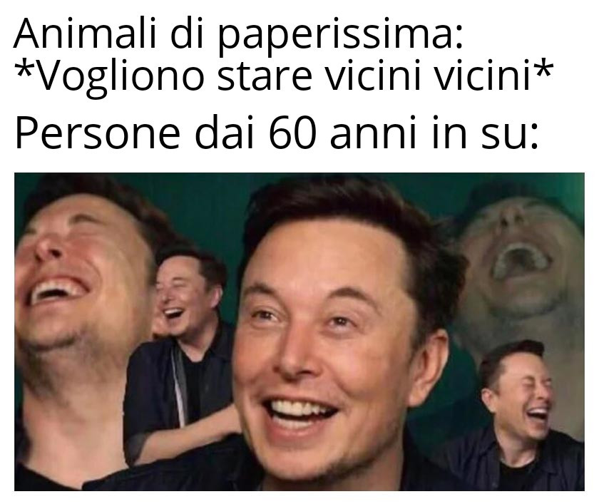 Meme