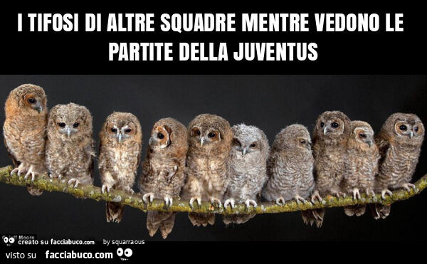 I tifosi di altre squadre mentre vedono le partite della juventus