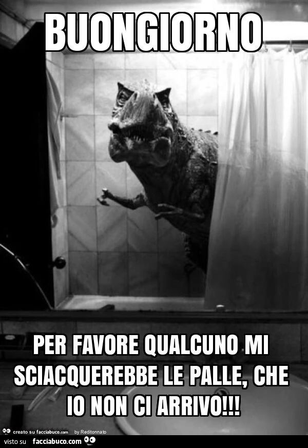 Buongiorno per favore qualcuno mi sciacquerebbe le palle, che io non ci arrivo