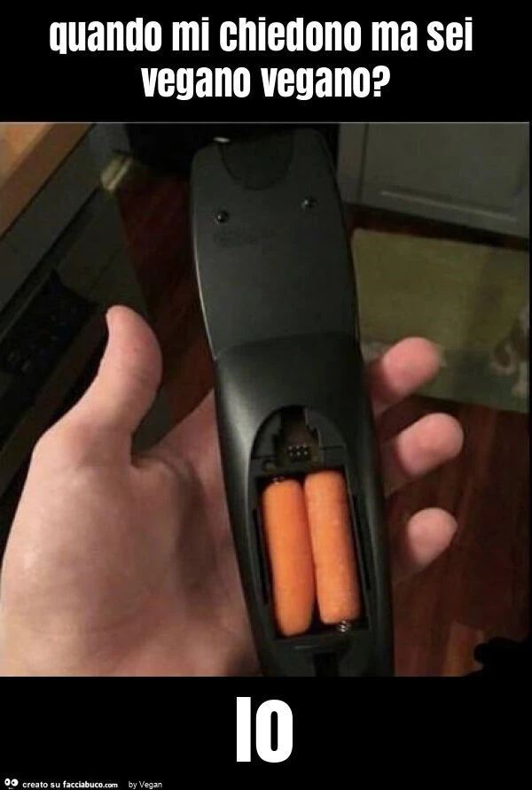 Quando mi chiedono ma sei vegano vegano? Io