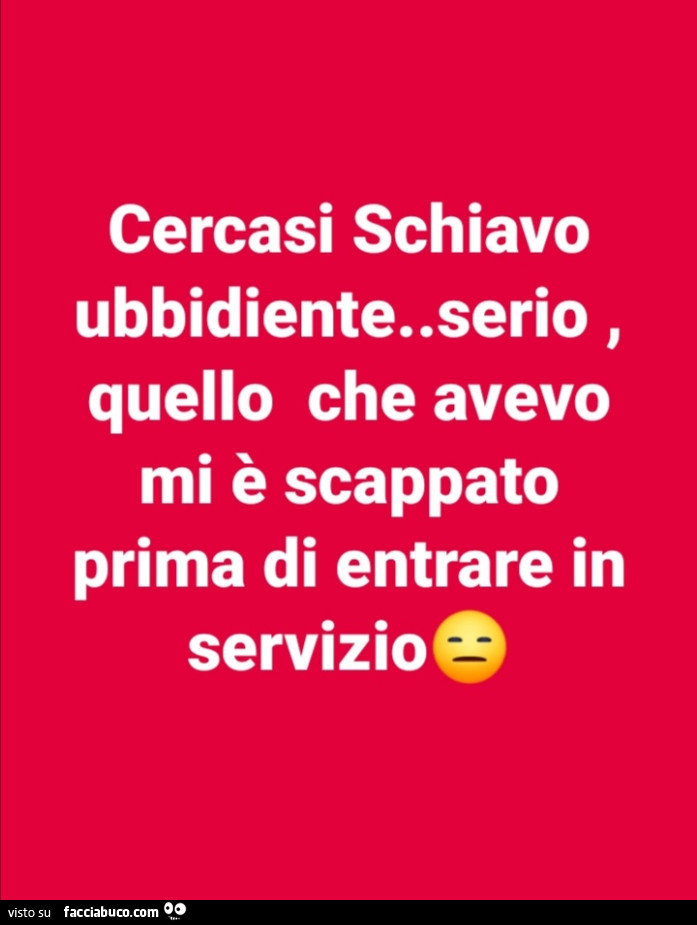 Cercasi schiavo ubbidiente. Serio, quello che avevo mi è scappato prima di entrare in servizio