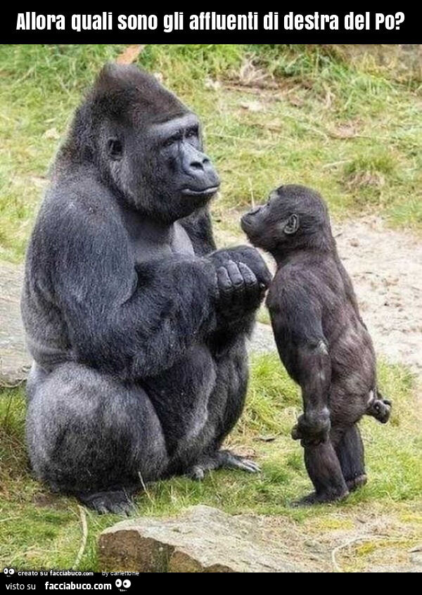 Allora quali sono gli affluenti di destra del po?