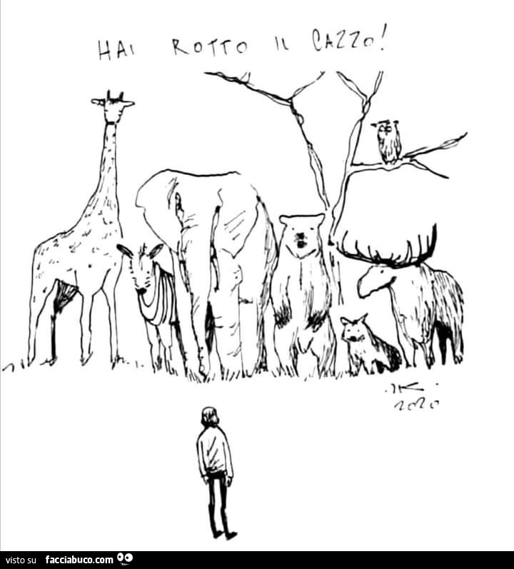 Umano hai rotto il cazzo - Facciabuco.com