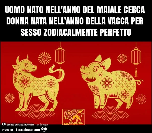 Uomo nato nell'anno del maiale cerca donna nata nell'anno della vacca per sesso zodiacalmente perfetto