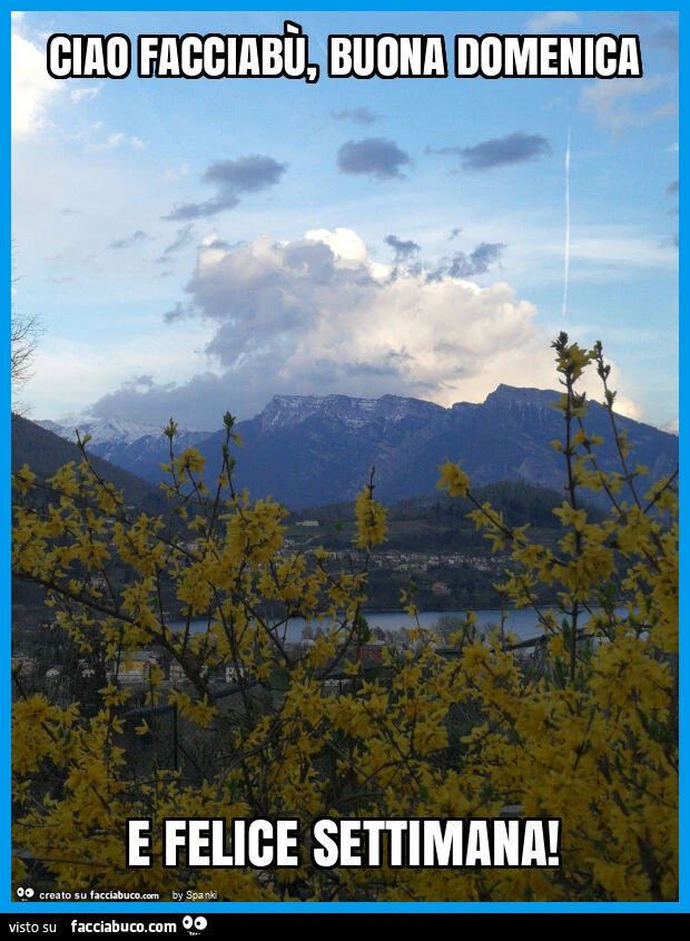 Ciao facciabù, buona domenica e felice settimana