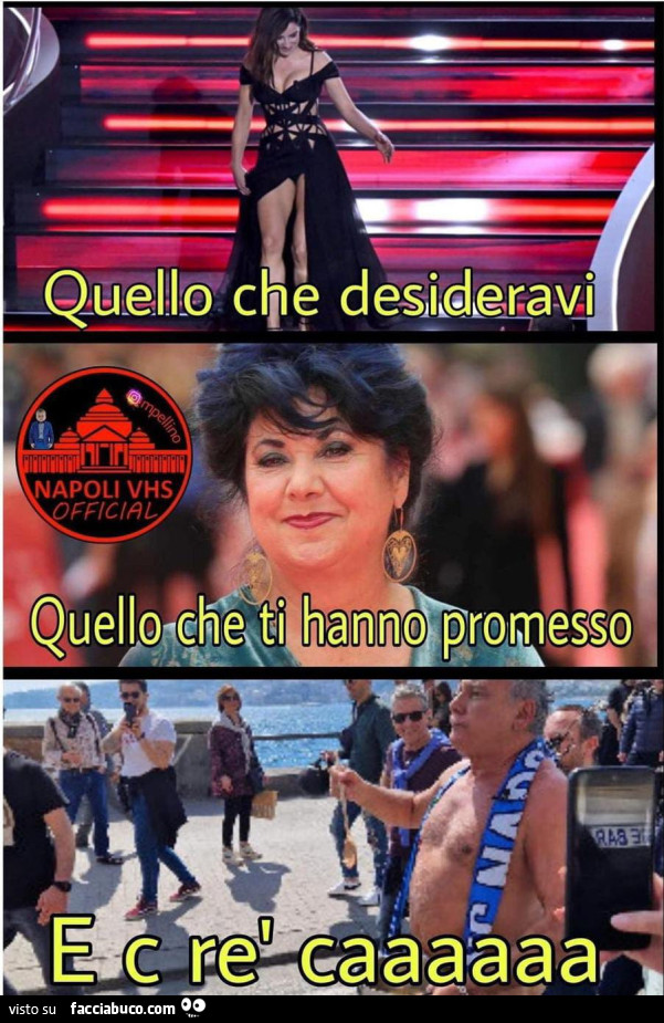 Vaccata