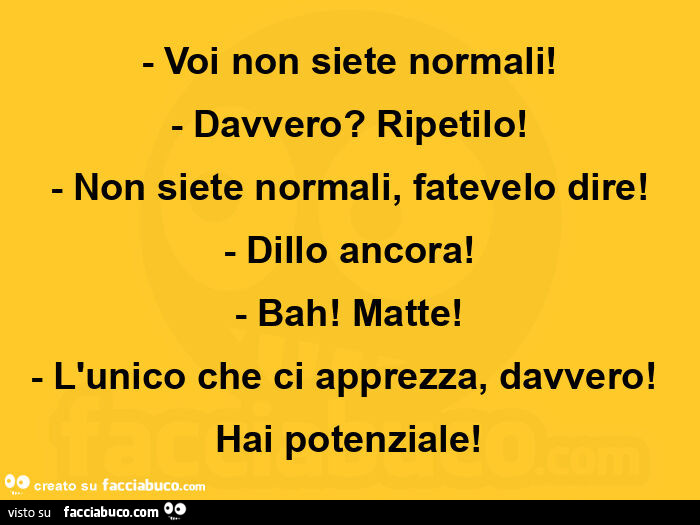 Voi non siete normali! Davvero? Ripetilo! Non siete normali, fatevelo dire! Dillo ancora! Bah! Matte! L'unico che ci apprezza, davvero! Hai potenziale