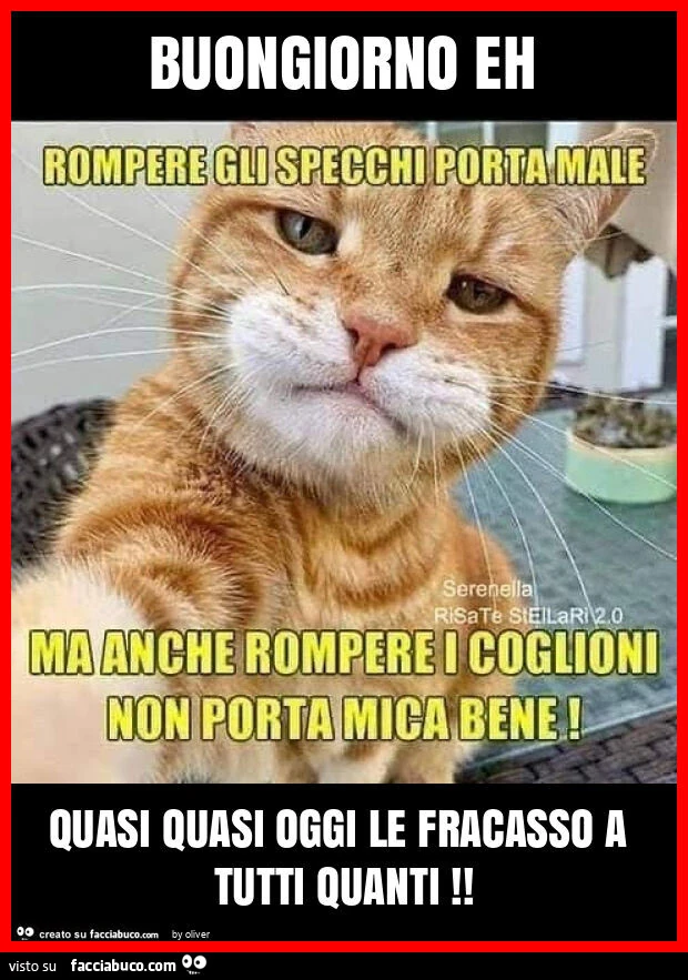 Buongiorno eh quasi quasi oggi le fracasso a tutti quanti