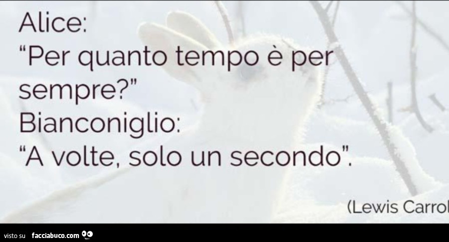 Alice: per quanto tempo è per sempre? Bianconiglio: a volte, solo un secondo