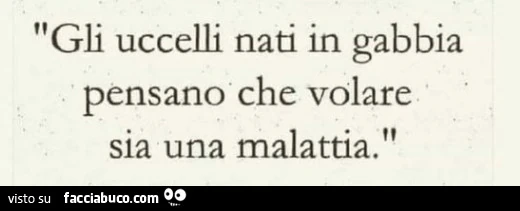 Gli uccelli nati in gabbia pensano che volare sia una malattia