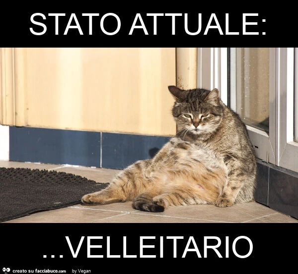 Stato attuale: &hellip; velleitario