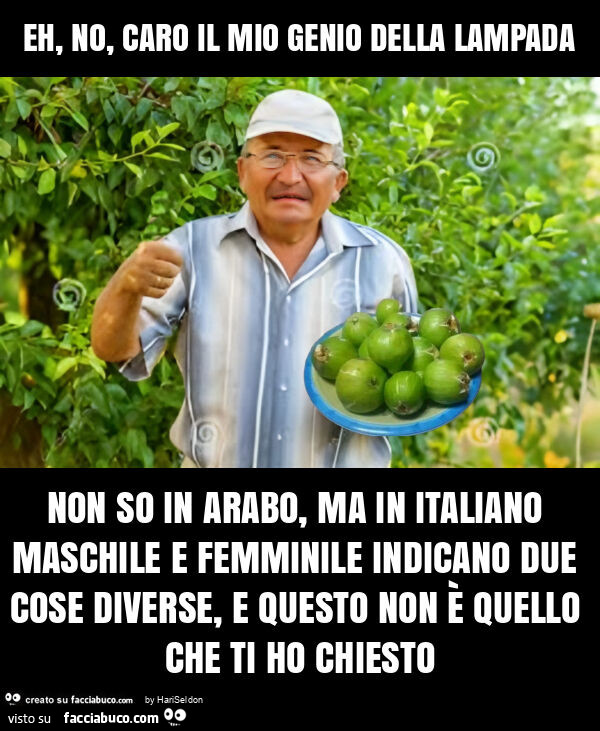 Eh, no, caro il mio genio della lampada non so in arabo, ma in italiano maschile e femminile indicano due cose diverse, e questo non è quello che ti ho chiesto