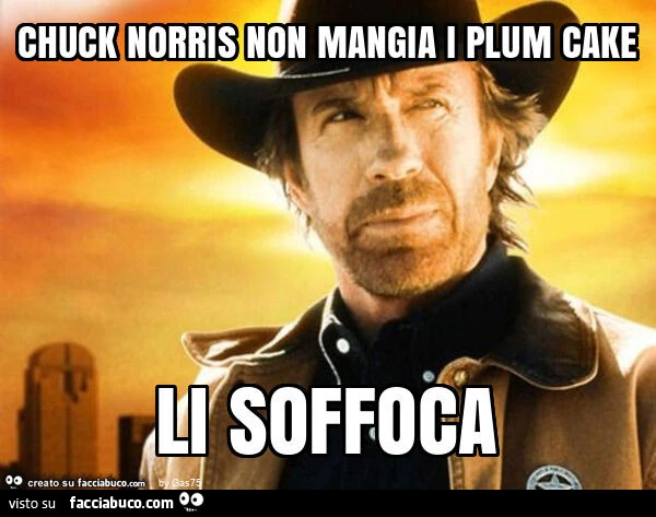 Chuck norris non mangia i plum cake li soffoca