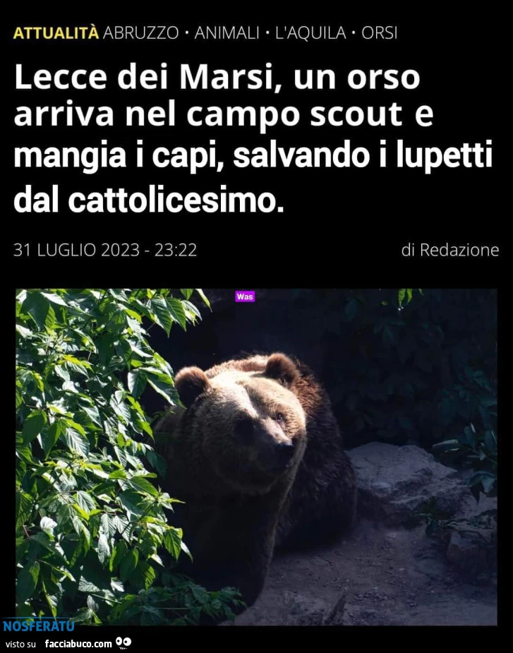 Orso salva i lupetti dal cattolicesimo