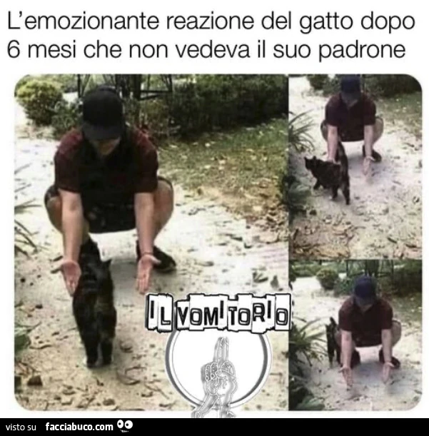 Vaccata