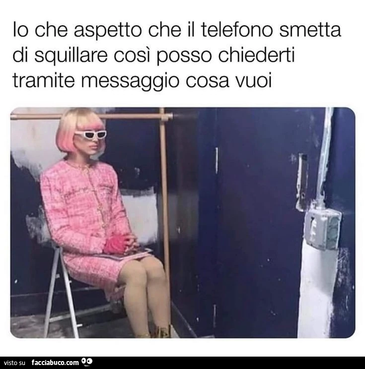 Vaccata