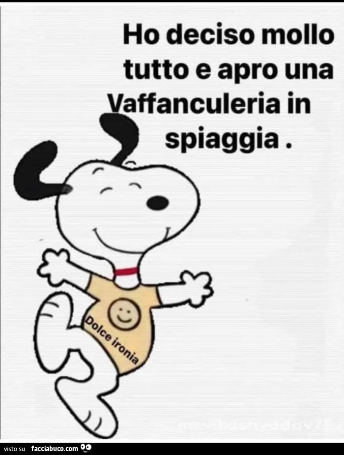 Ho deciso mollo tutto e apro una vaffanculeria in spiaggia