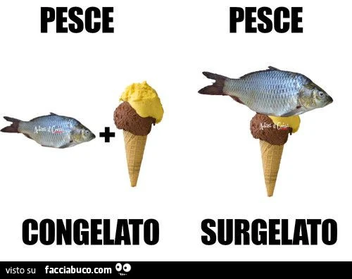 Pesce congelato. Pesce surgelato