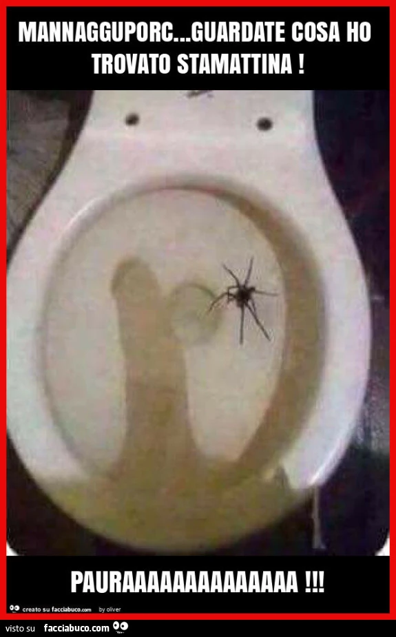 Mannagguporc… guardate cosa ho trovato stamattina! Pauraaaaaaaaaaaaaa