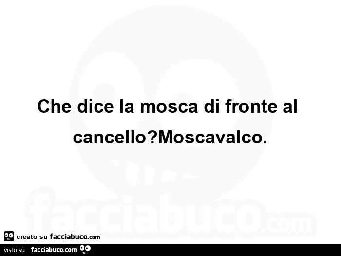 Che dice la mosca di fronte al cancello? Moscavalco