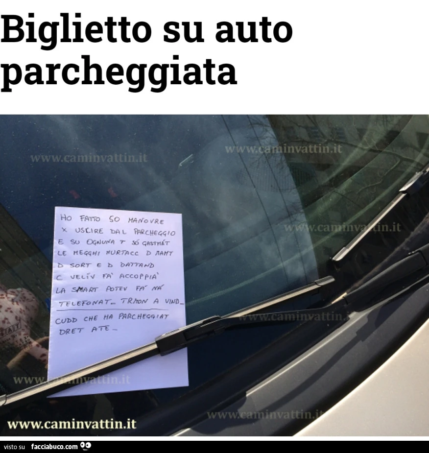 Vaccata