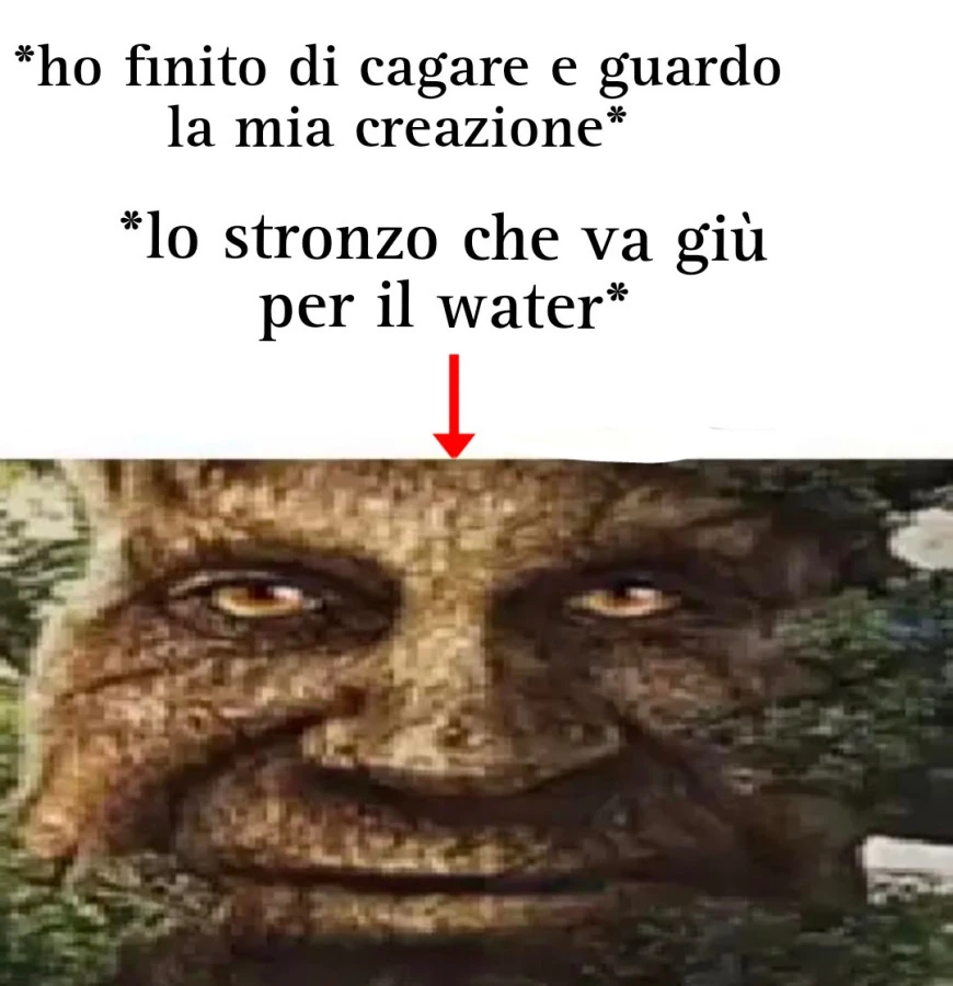 Ndns