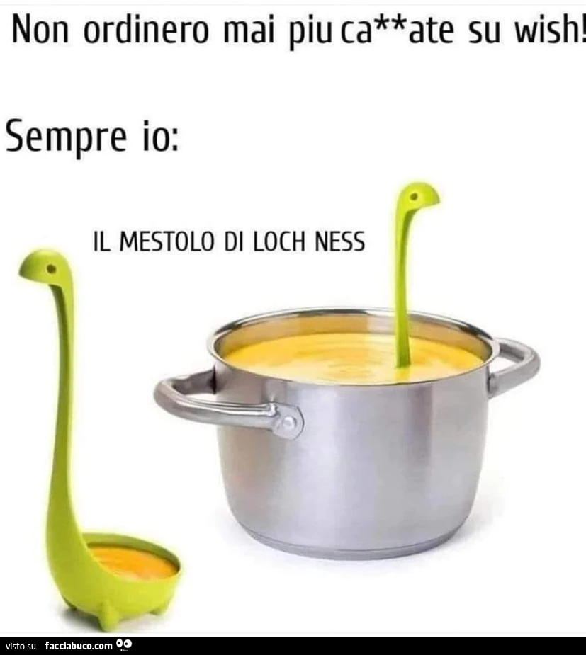 Non ordinero mai piu cazzate su wish! Sempre io: il mestolo di loch ness