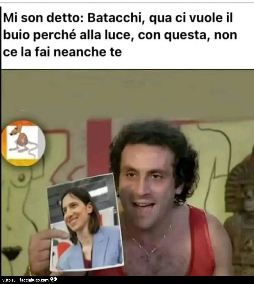 Vaccata