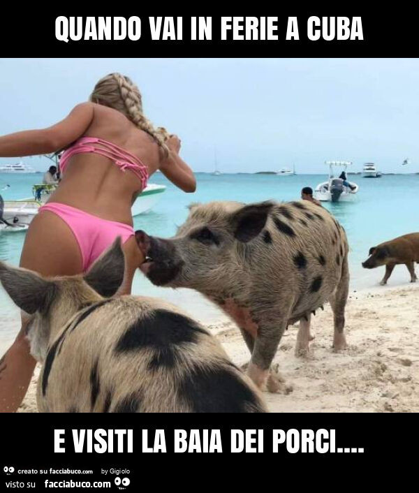 Quando vai in ferie a cuba e visiti la baia dei porci