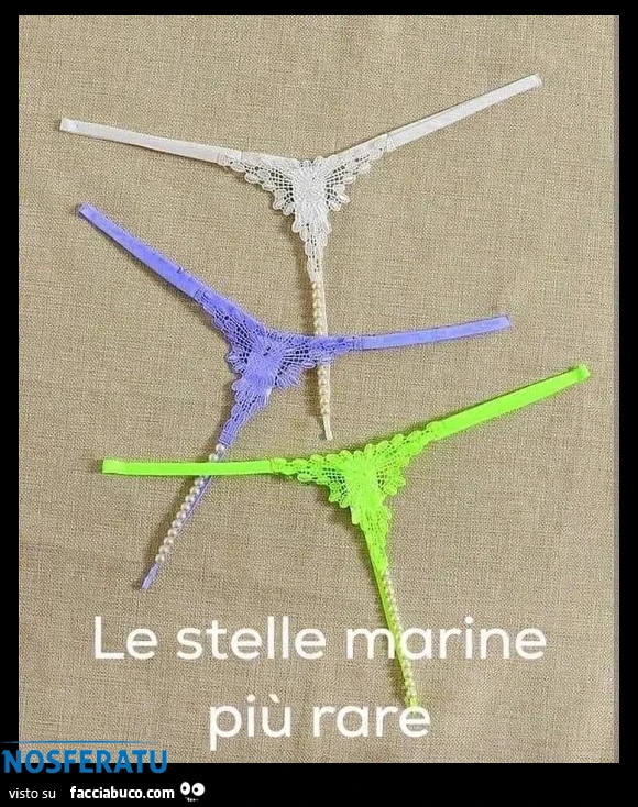 Le stelle marine più rare