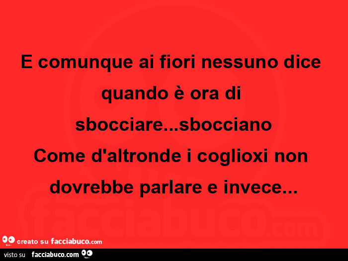 E comunque ai fiori nessuno dice quando è ora di sbocciare… sbocciano come d'altronde i coglioxi non dovrebbe parlare e invece