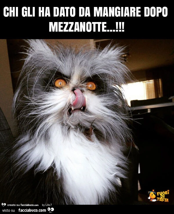 Chi gli ha dato da mangiare dopo mezzanotte
