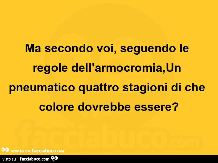 Ma secondo voi, seguendo le regole dell'armocromia, un pneumatico quattro stagioni di che colore dovrebbe essere?