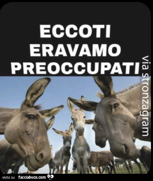In cerca di amici