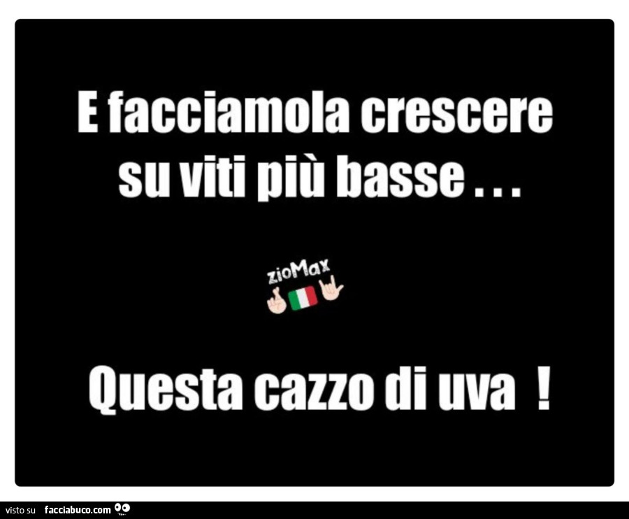 Vaccata