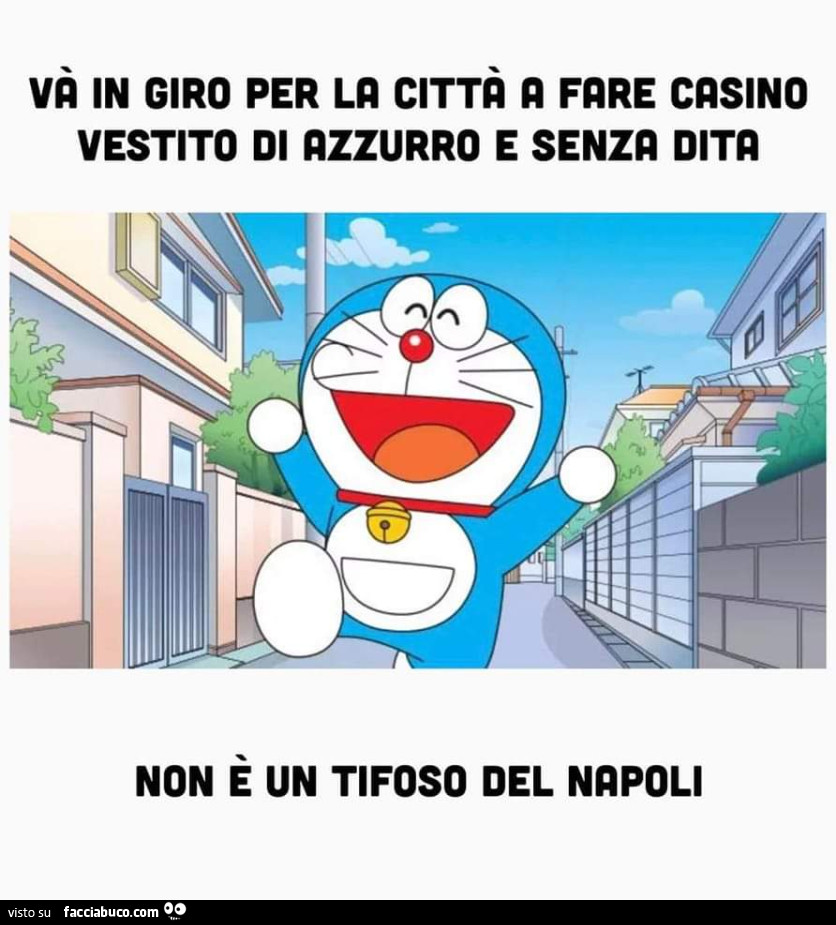 Tifoso del Napoli